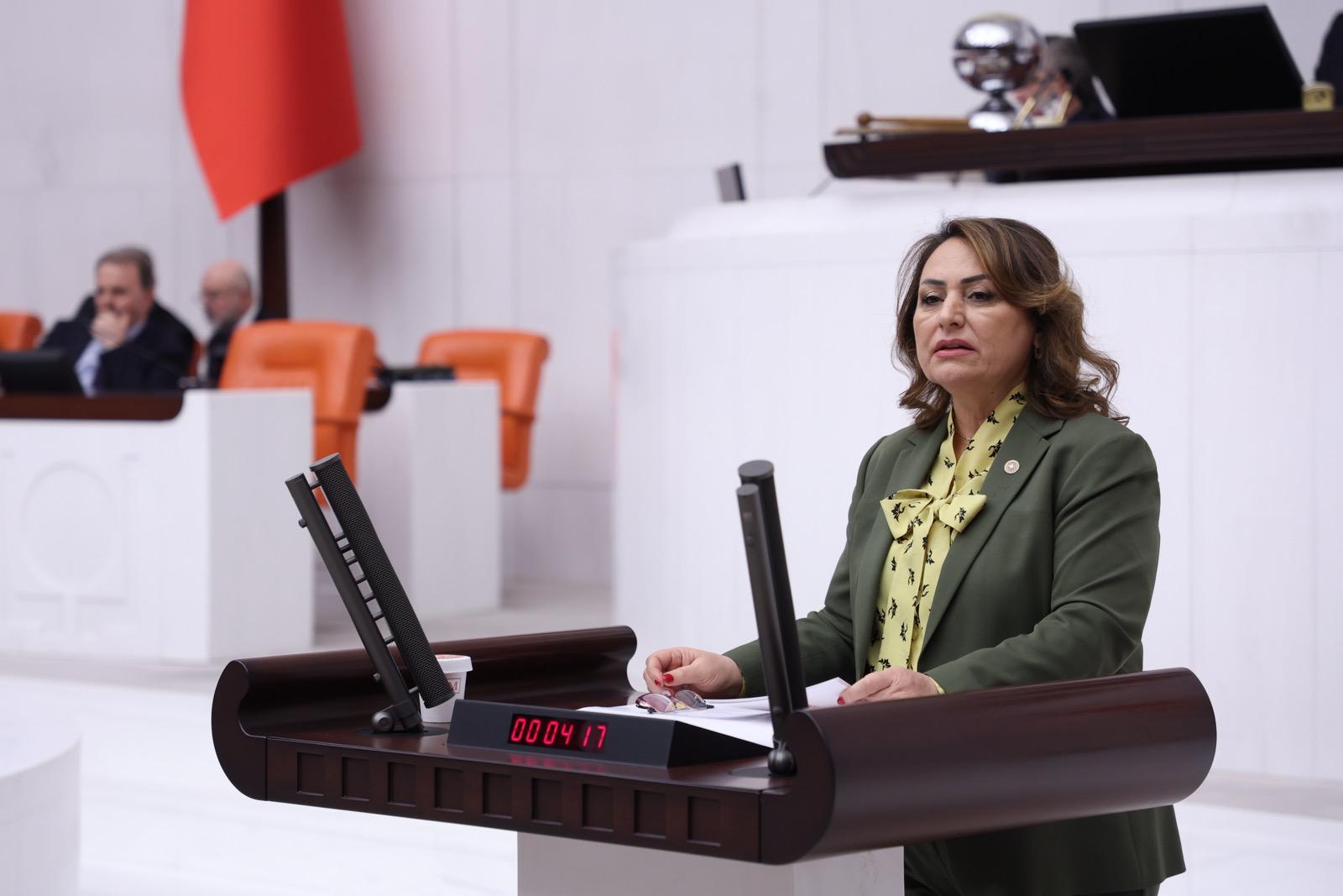 Seçilmiş iradeye müdahale tartışması meclis gündeminde…