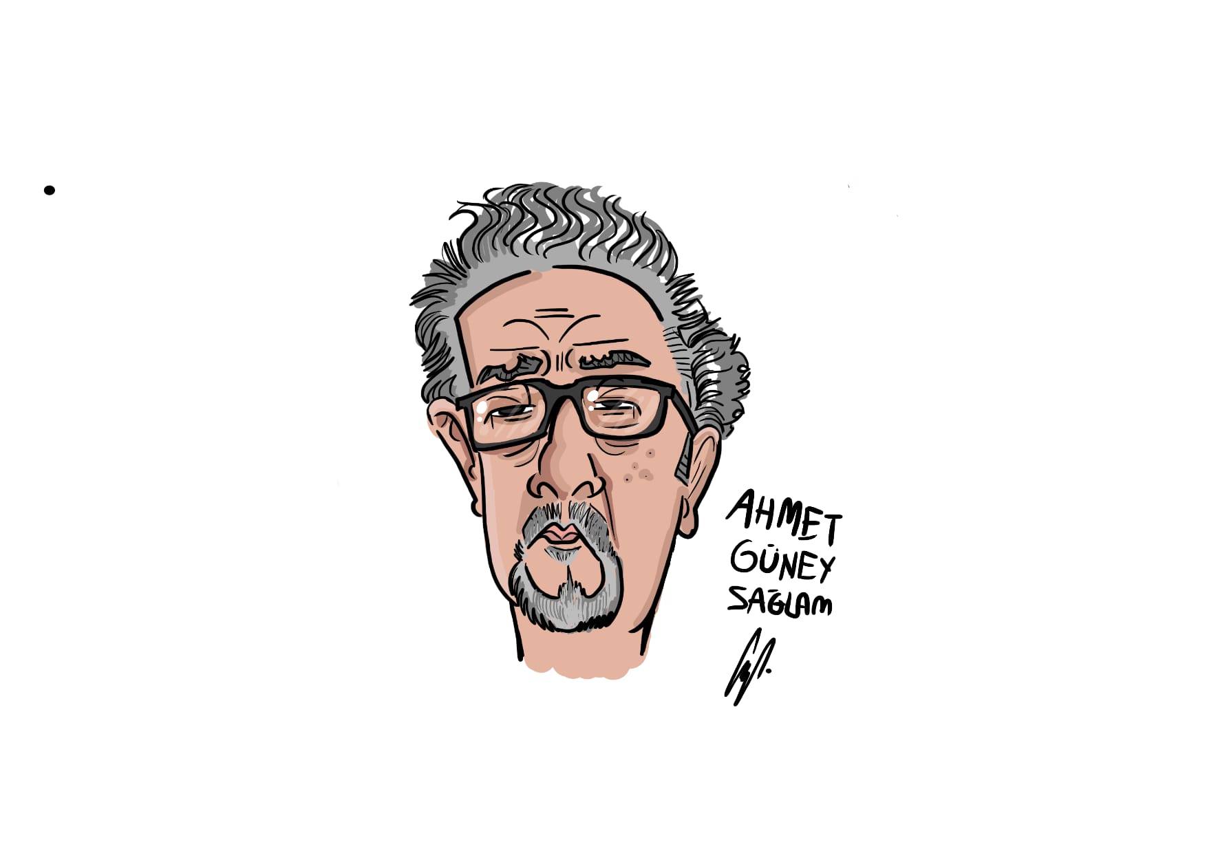 Ahmet Güney Sağlam karikatürü